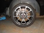 DSC01039.jpg